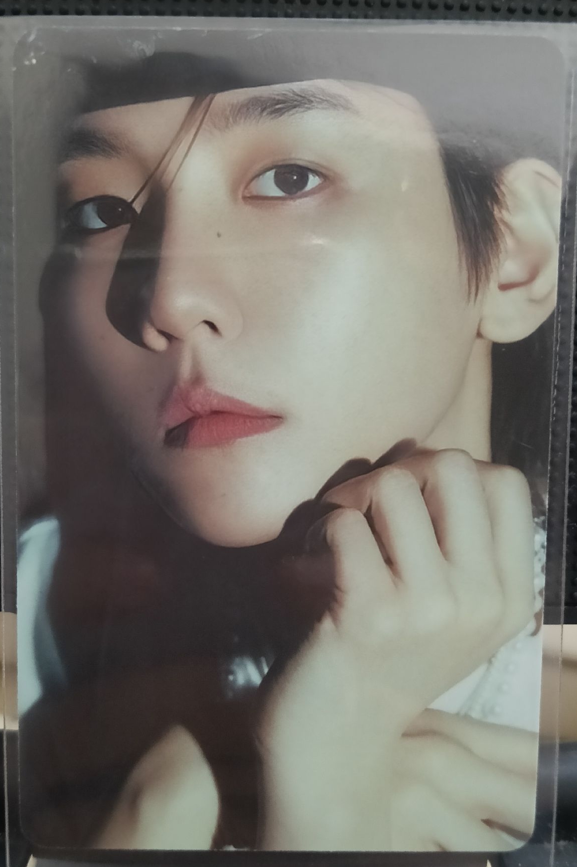 bolo5 專輯卡 kiwee 概念卡 Ver.