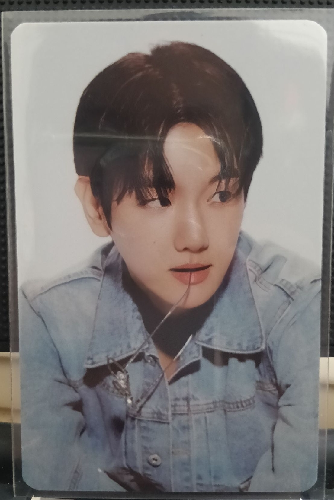 一巡安可 隨機卡 