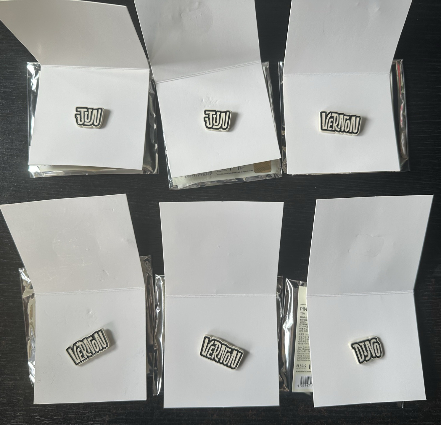 holiday 姓名pins 燦