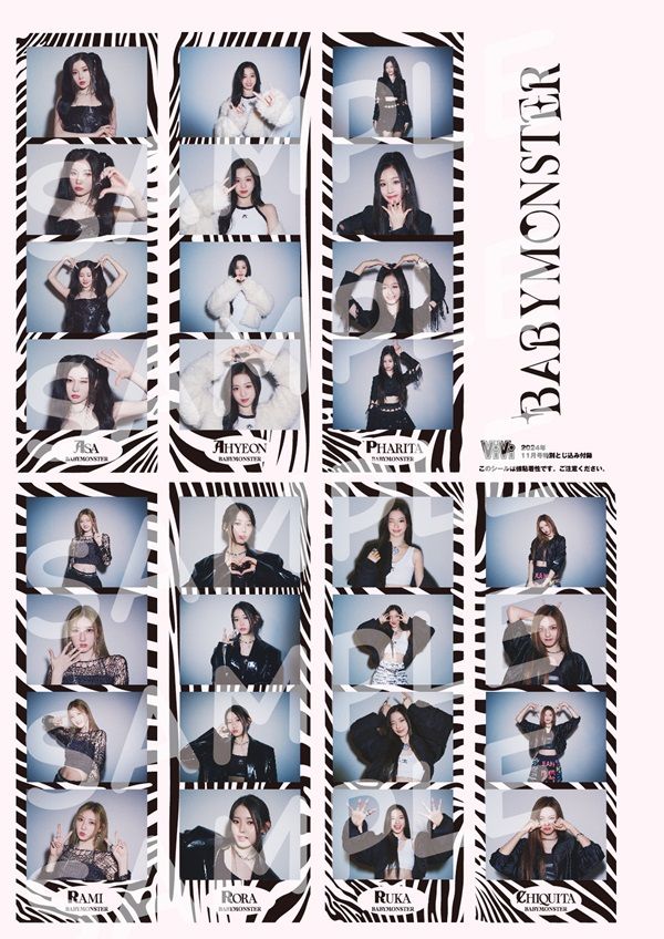 ViVi JAPAN (2024.11)