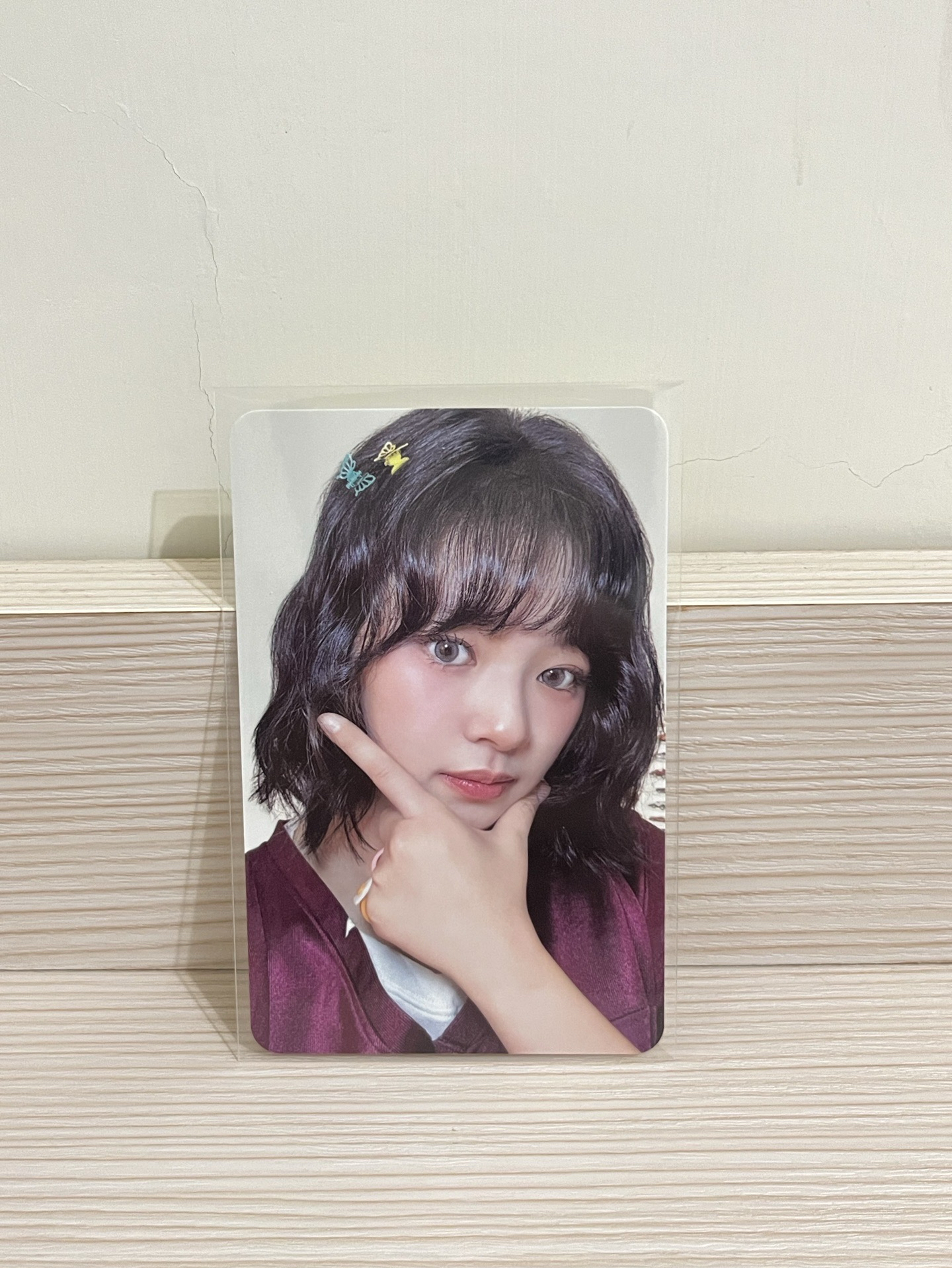 25年曆卡延+證件照+貼紙