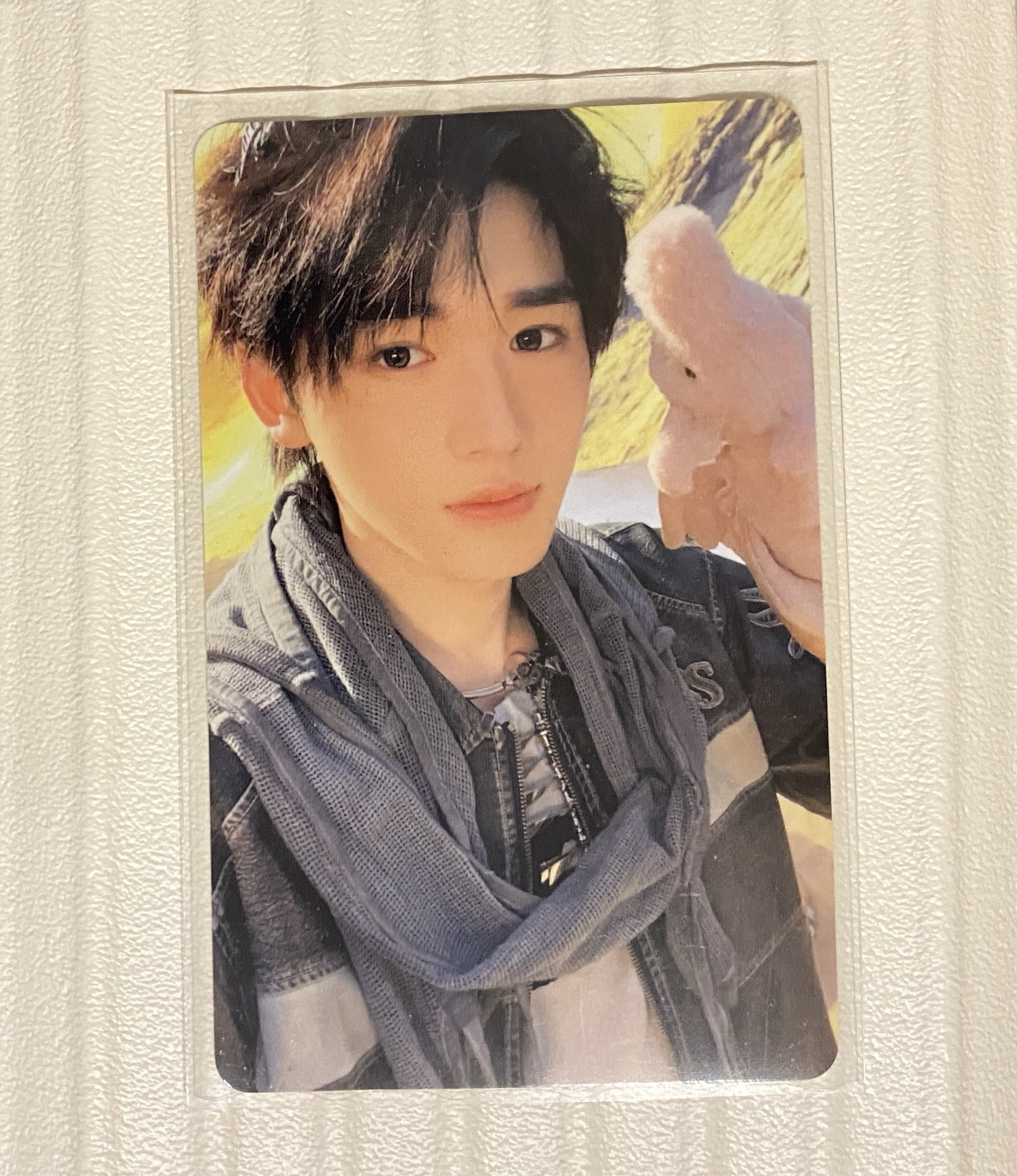 宋亞軒秋日記憶