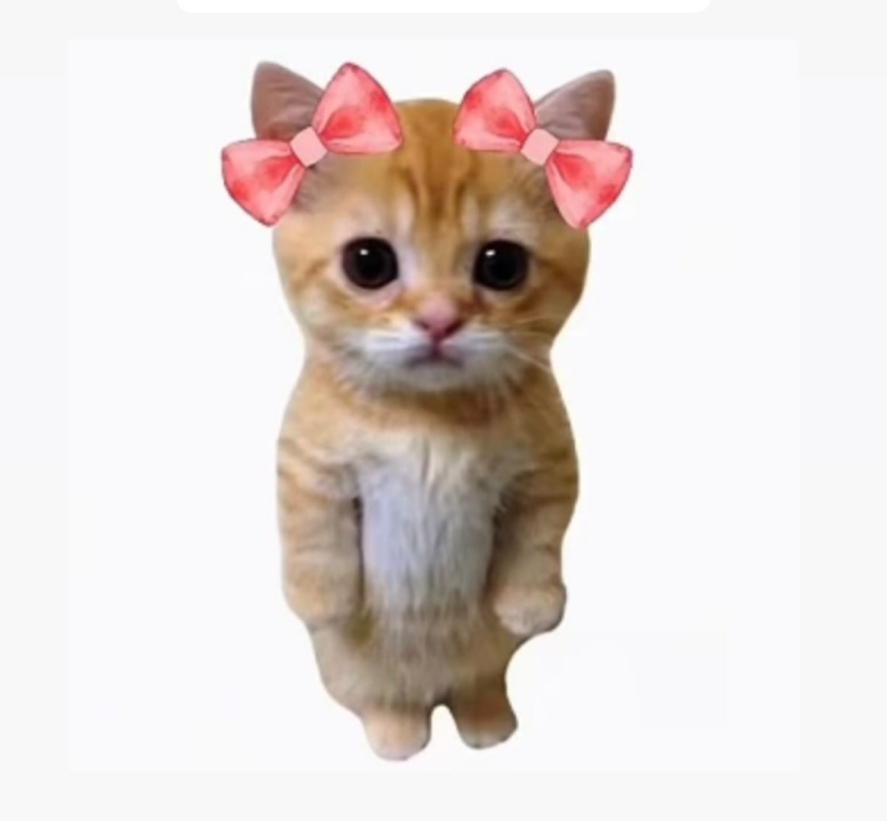 現貨｜Meovv小卡