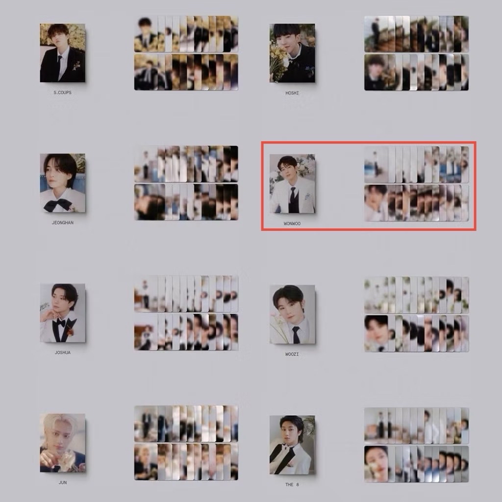 Seventeen 迷10 FML 婚禮盤 克拉盤 Wonwoo ver.