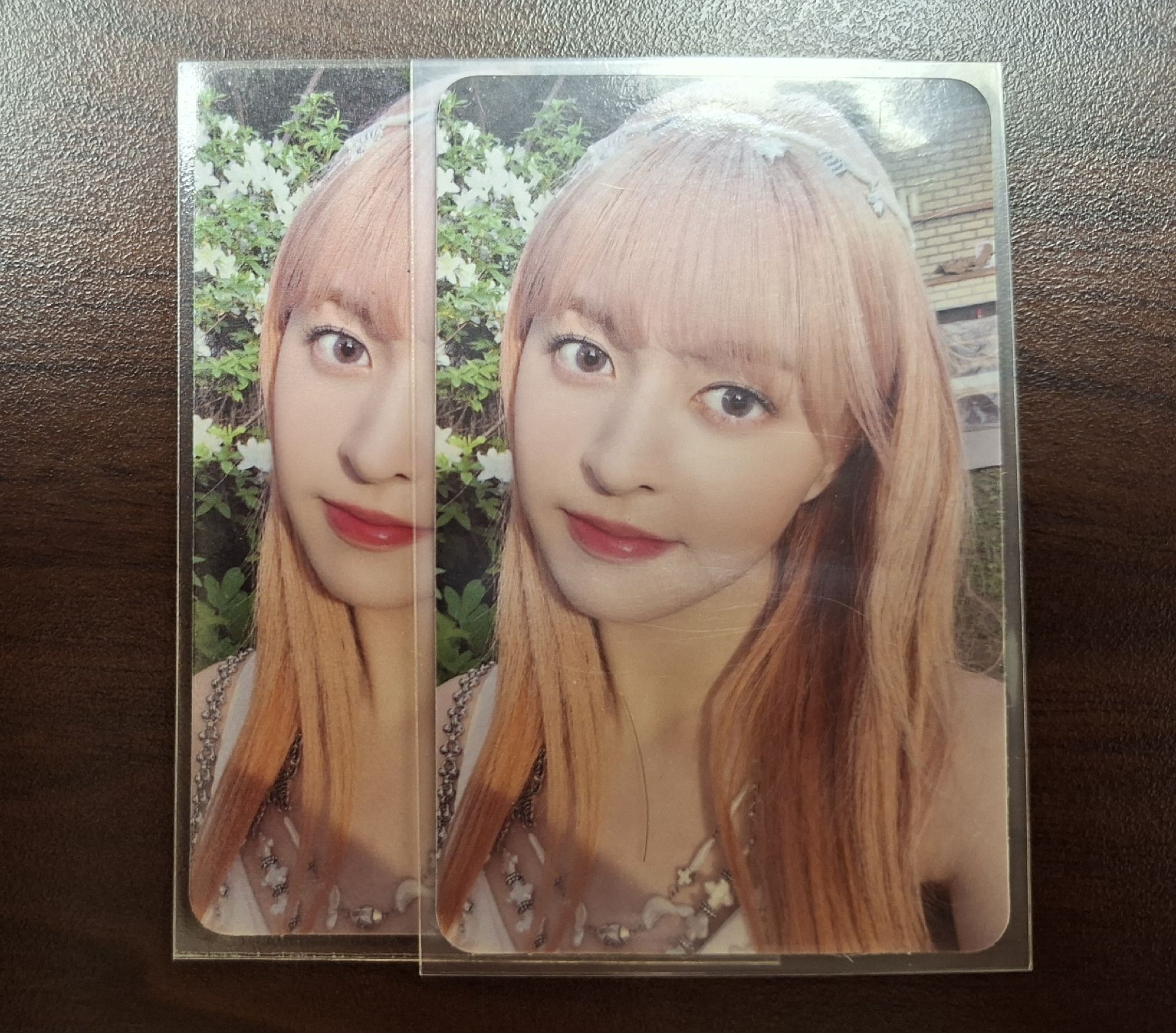 仲夏夜 專輯卡 普版 Forest 專卡莉