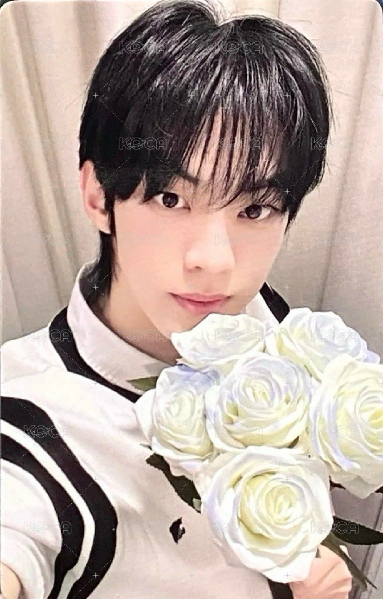 TWS Play Hard 道勳 YZY告白 小卡