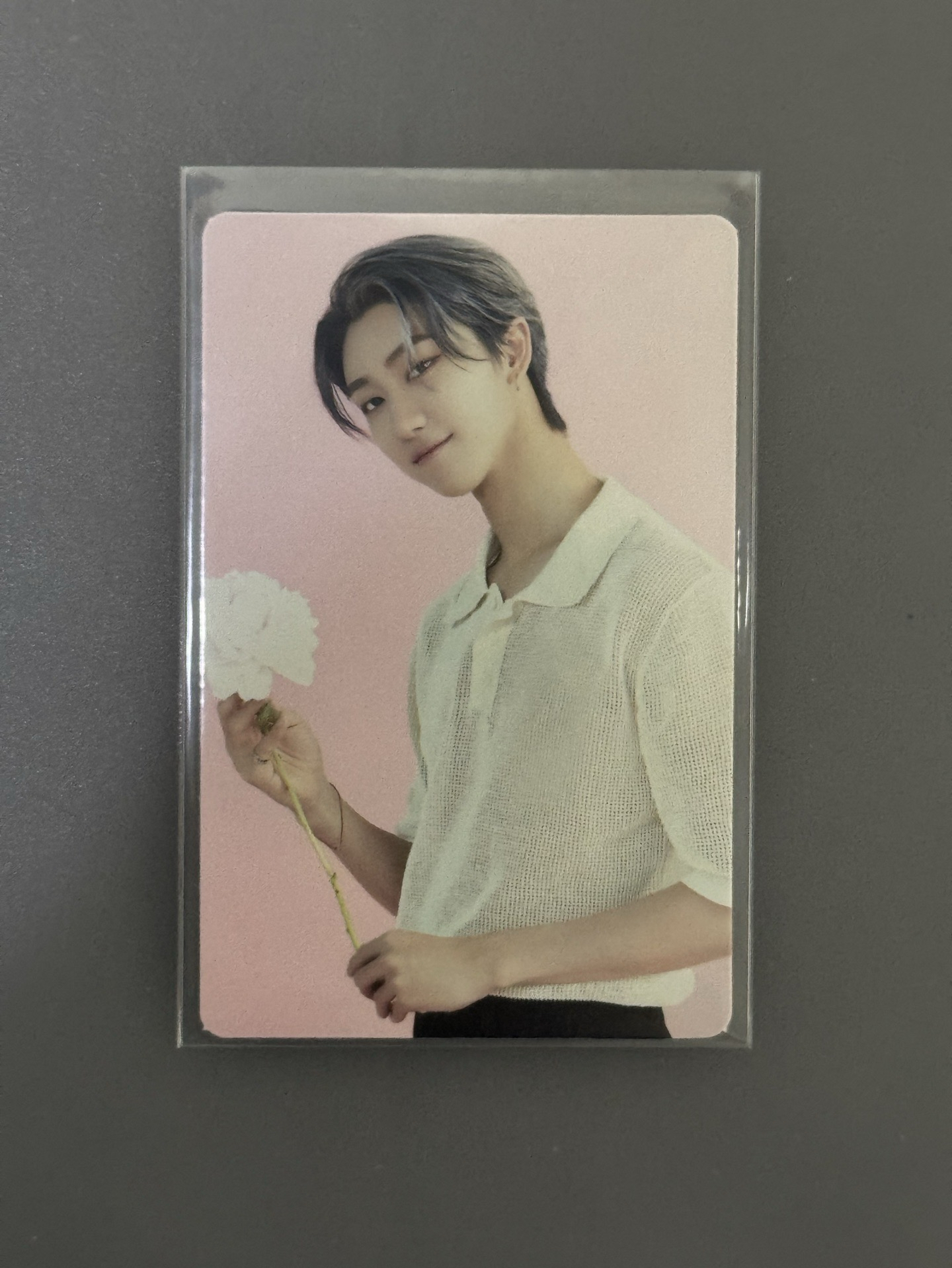 The 8 cafe小卡 花