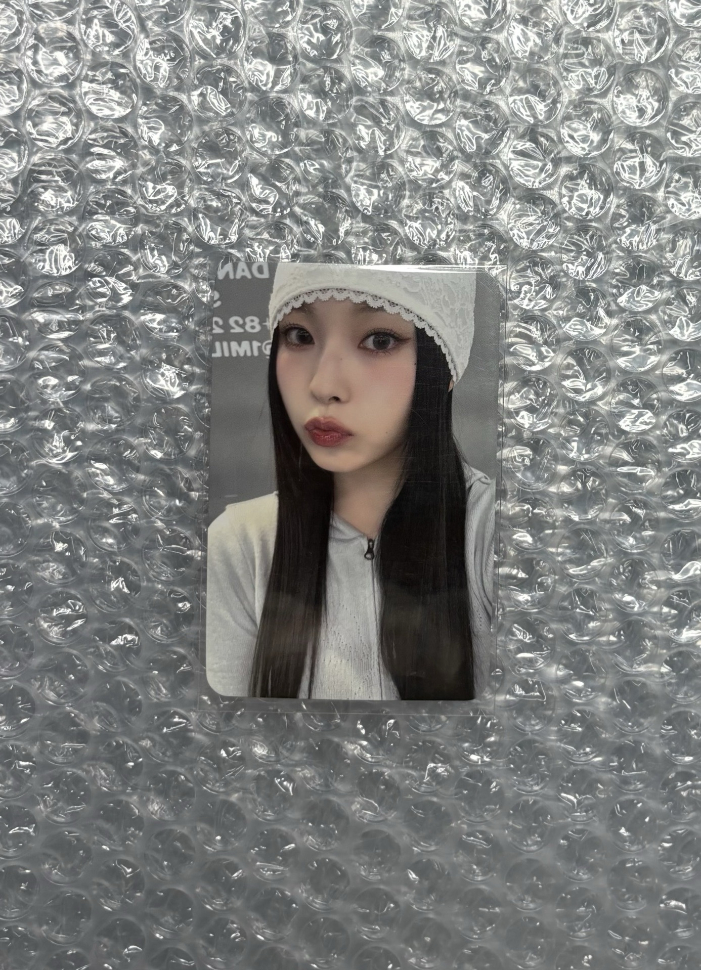 Nmixx Kyujin sr預售中文卡背 有人想領養一隻叫圭珍的小貓嗎