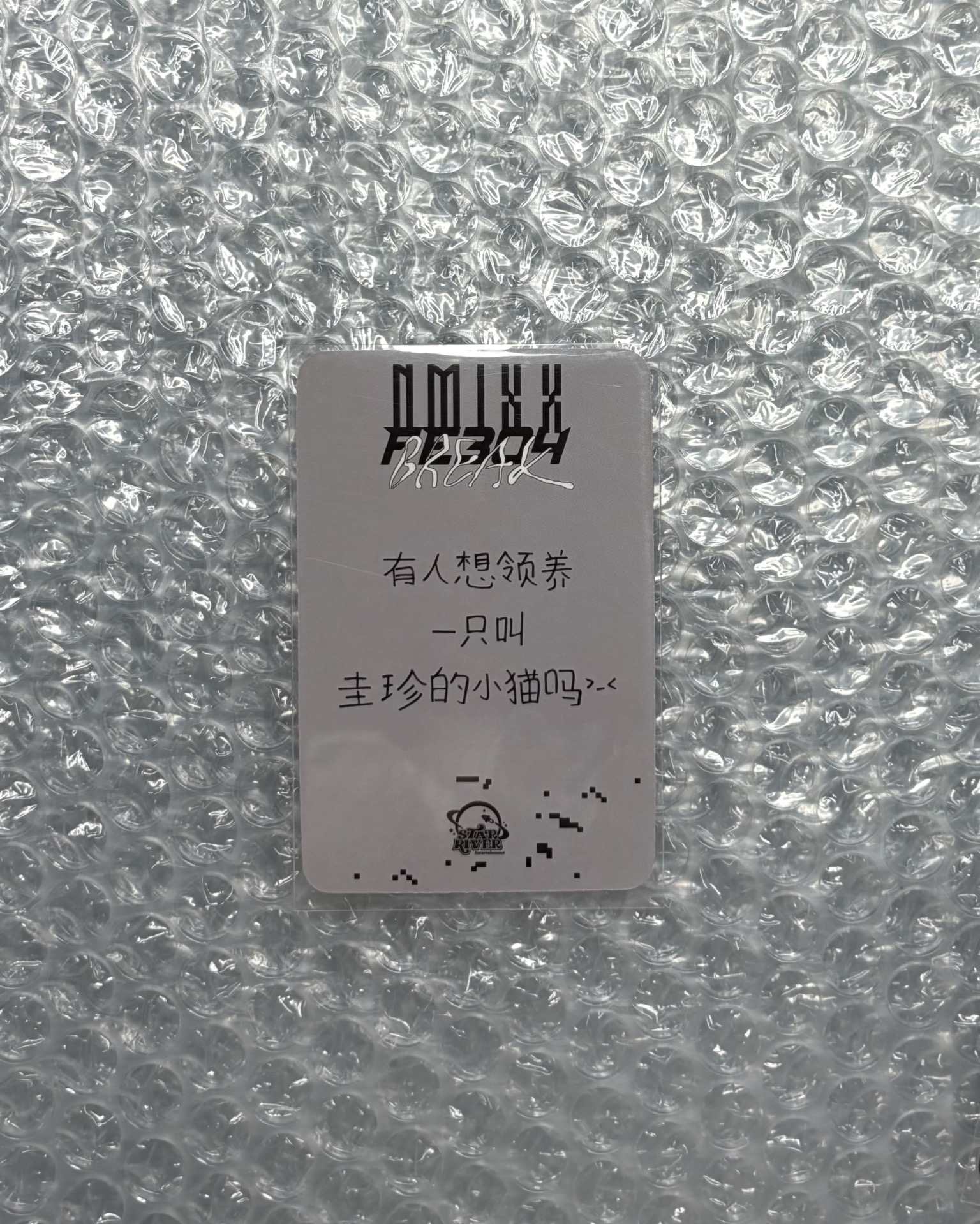 Nmixx Kyujin sr預售中文卡背 有人想領養一隻叫圭珍的小貓嗎