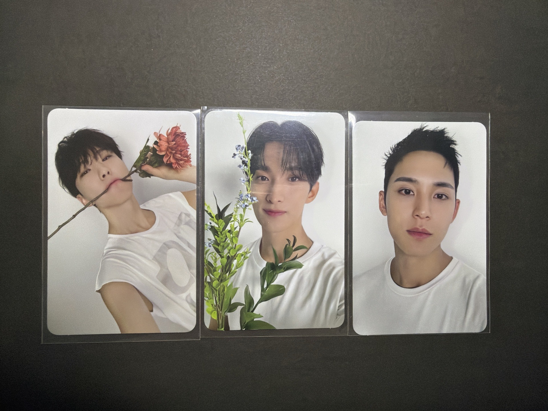 克拉盤小卡 榮奎碩