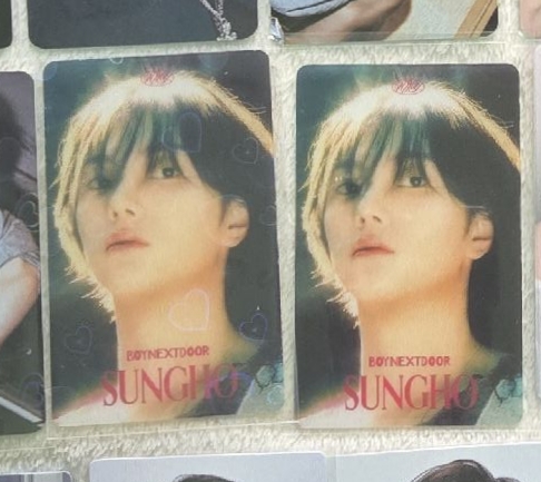 成淏 蝦皮 泰透卡