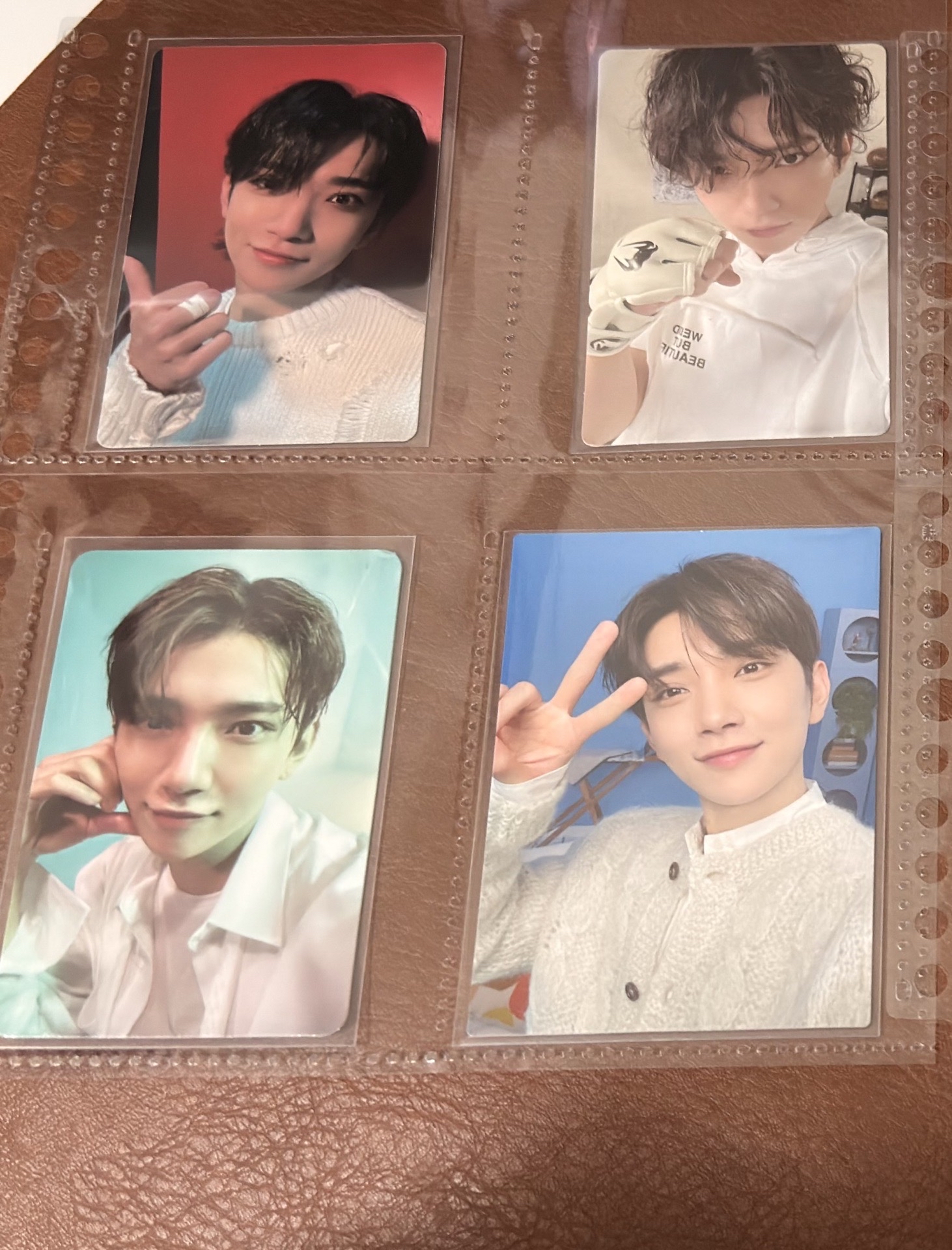 洪知秀 文俊輝 小卡