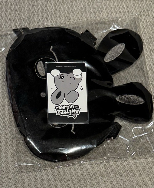 aniteez calling 咚星大臉小包（含卡）