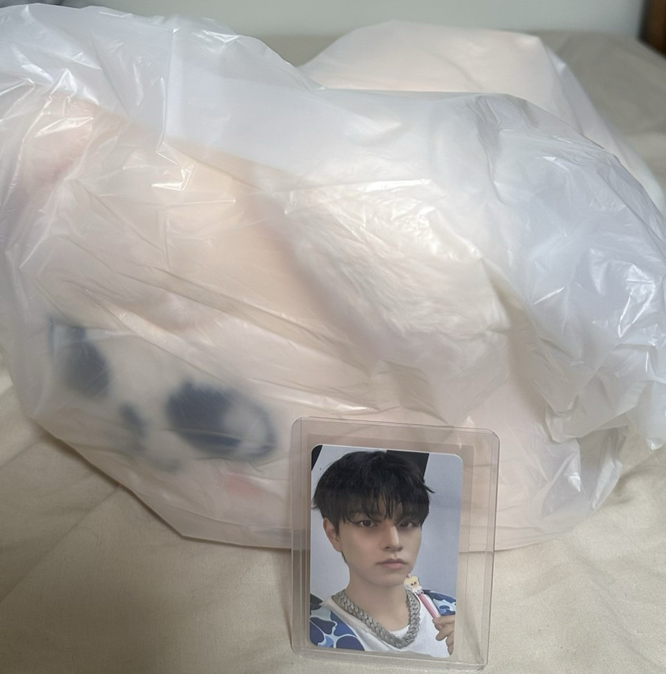 全新未拆（含卡）Straykids 金昇玟趴娃娃