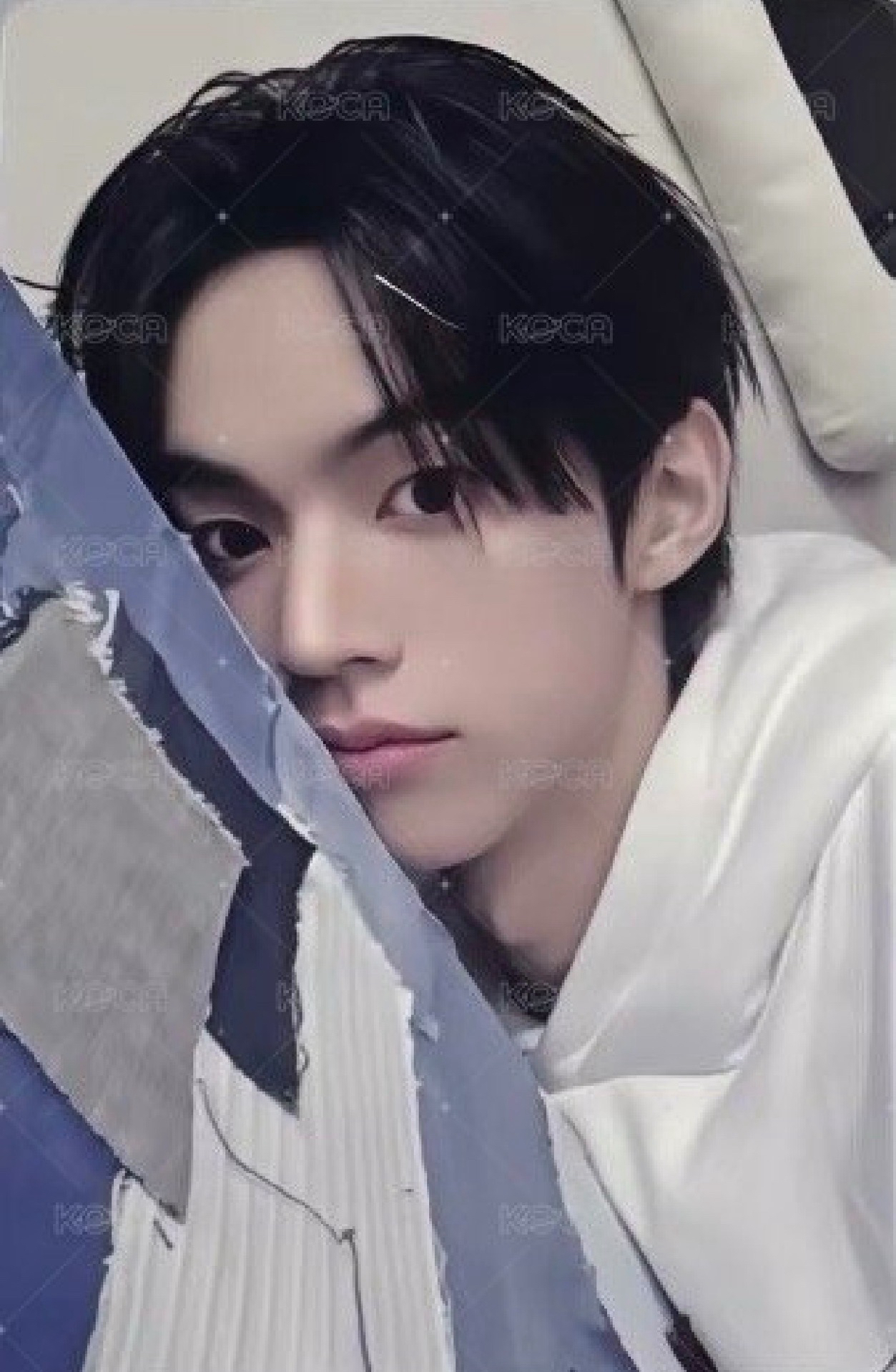 TWS 道勳 YZY中文卡背 你是我的桃子冰美