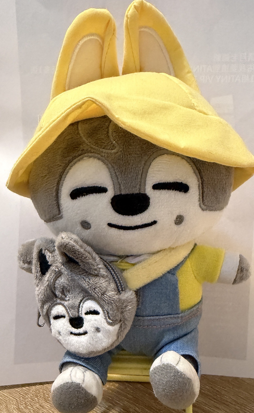 幼稚園燦狼小盤