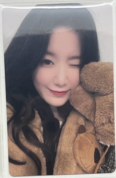 i-dle 卡皮巴拉刷