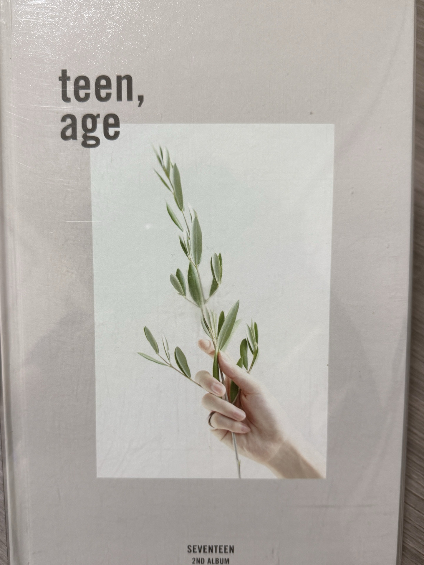 正二白版空專（率立牌）