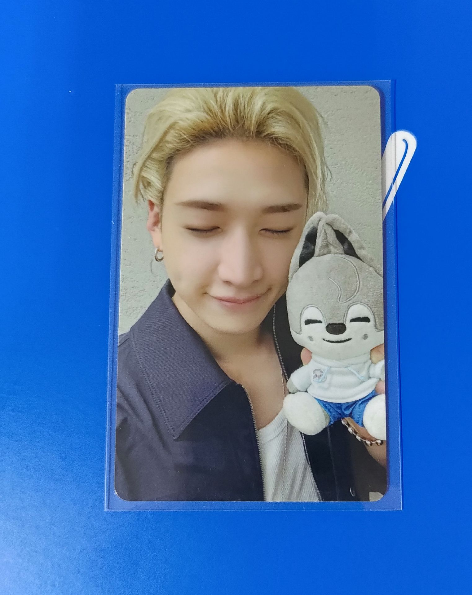 動物方程式聯名滿額燦