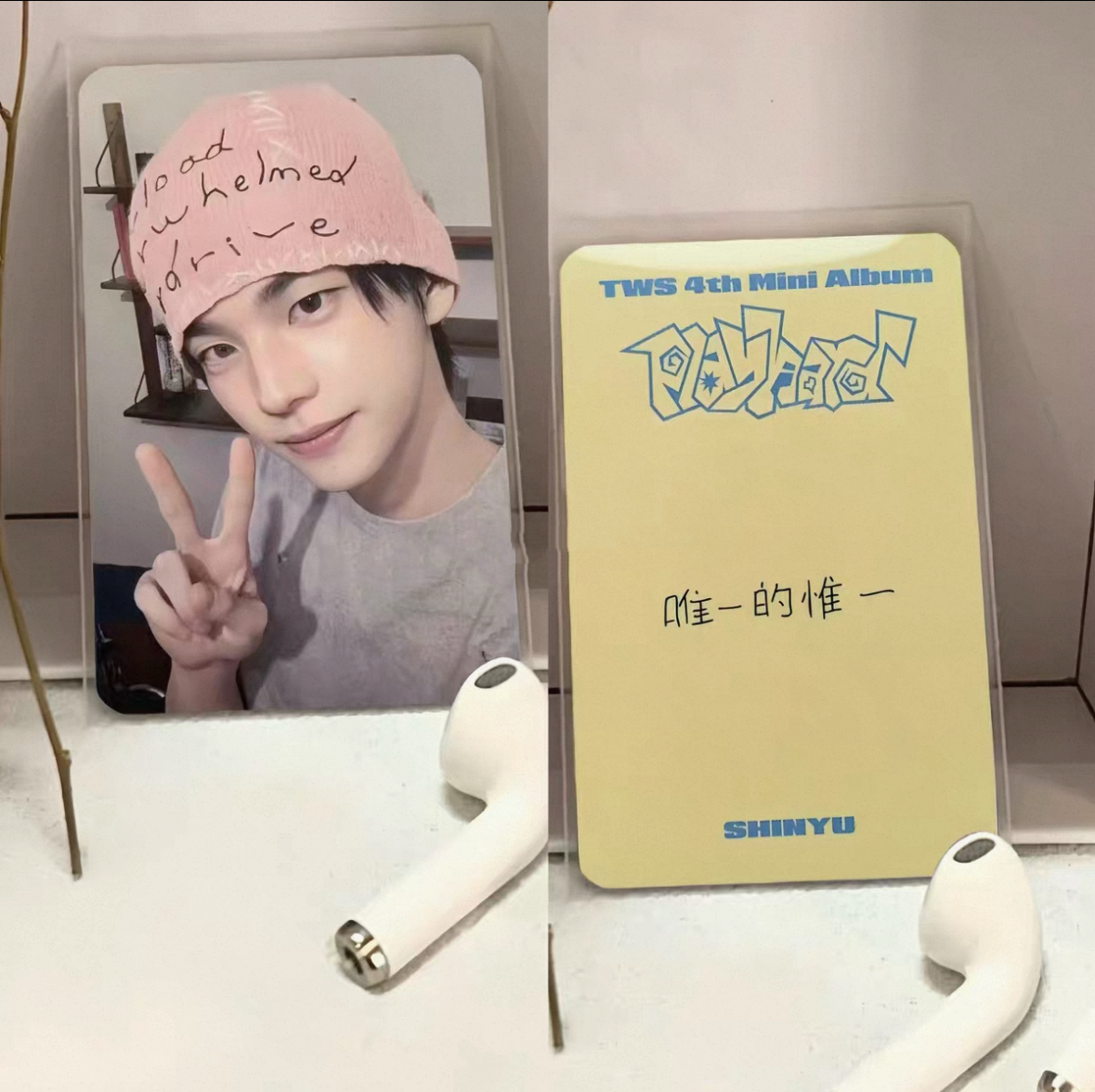 𝙏𝙒𝙎 申惟 一直娛2.0 中背🩷