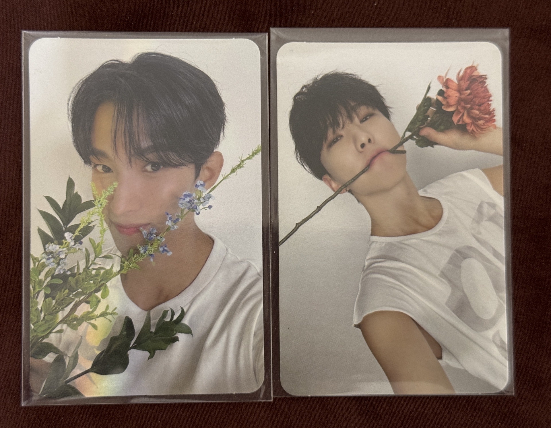 SEVENTEEN精選輯 BEST ALBUM [17 IS RIGHT HERE] DEAR盤 親愛盤 順榮 碩珉DK