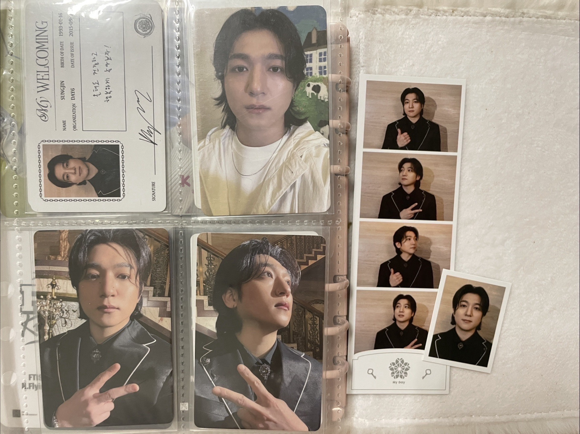 🐻五期會員禮+安口場D3入場