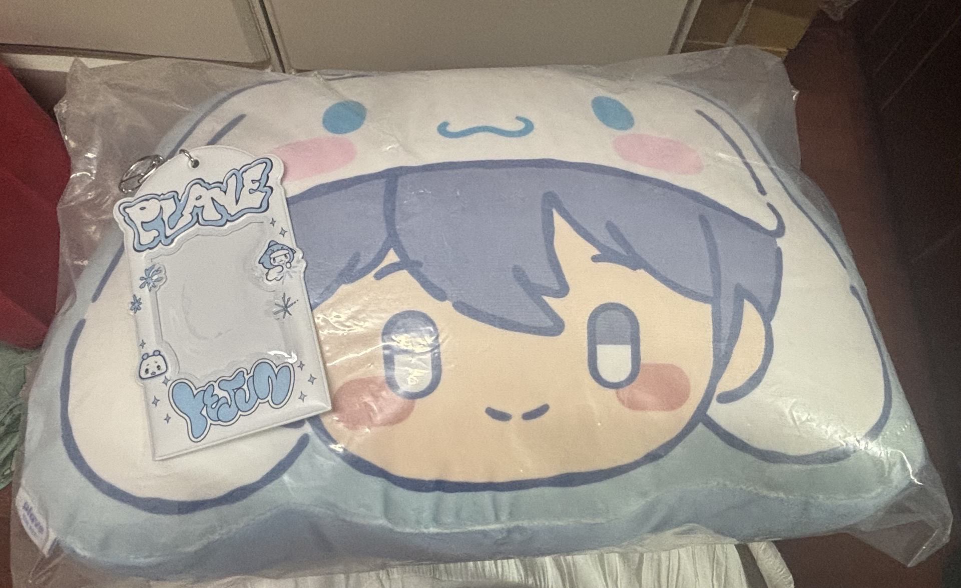 PLAVE 藝俊抱枕set