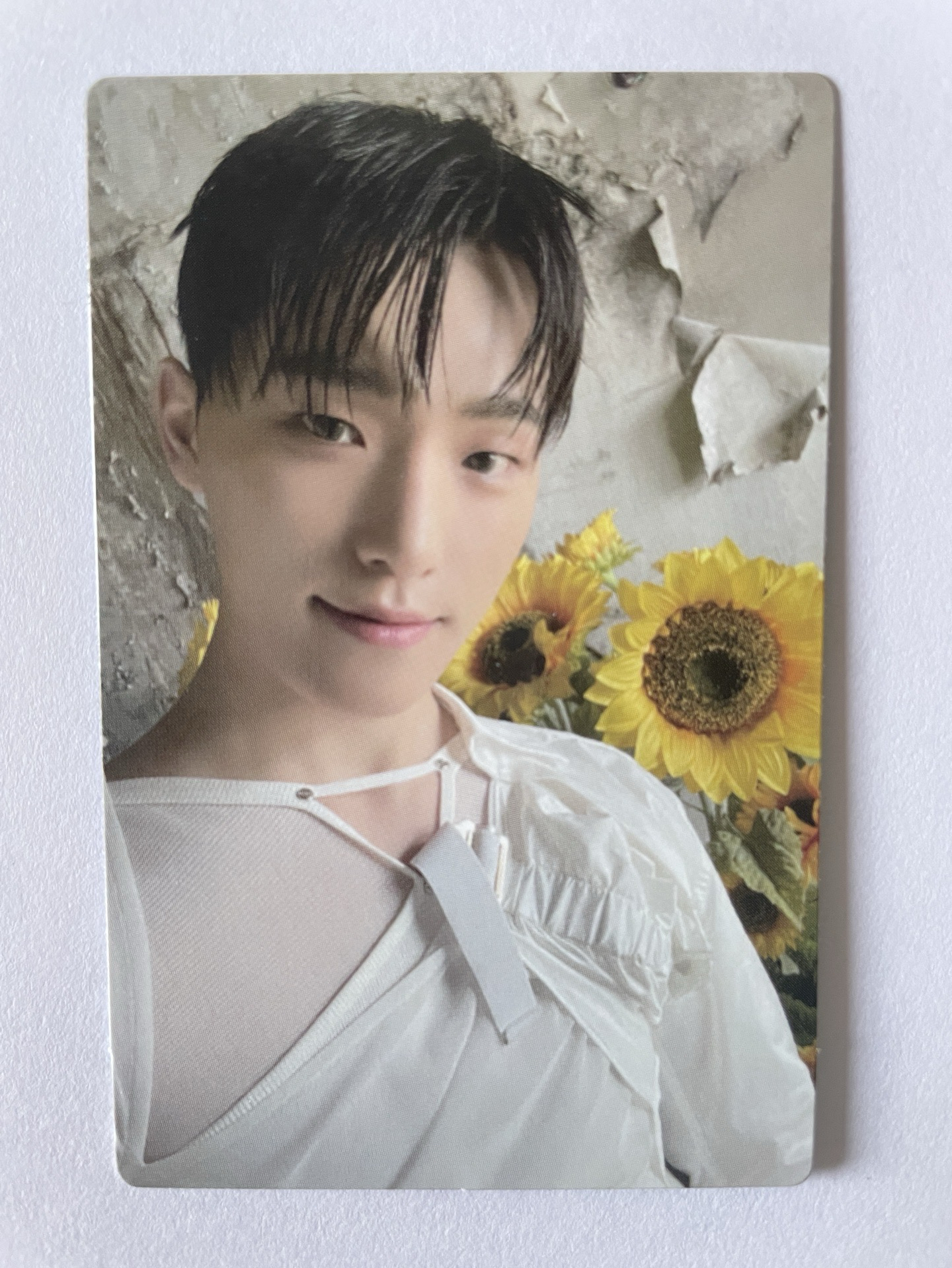 Seventeen 9期 會員禮 小卡 Dino 李燦