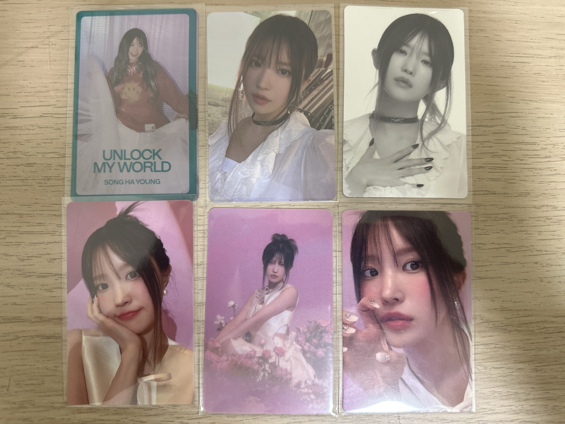 宋河英正規一 wvs 