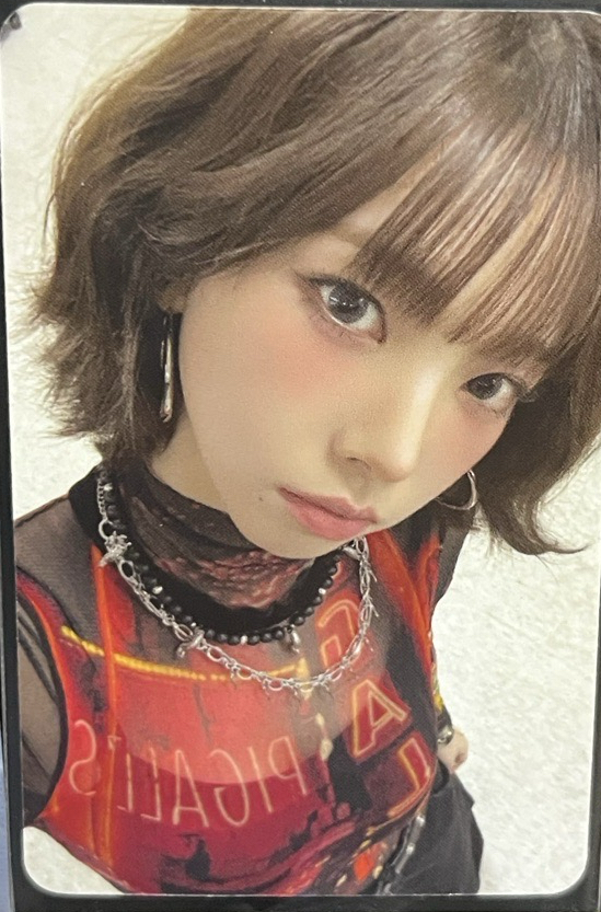 台灣拼盤造型柚