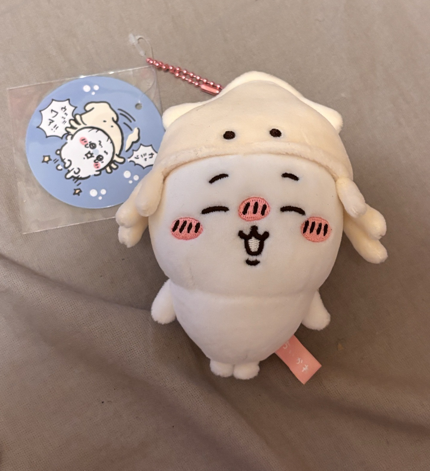 吉伊卡哇/水族館/烏賊卡哇