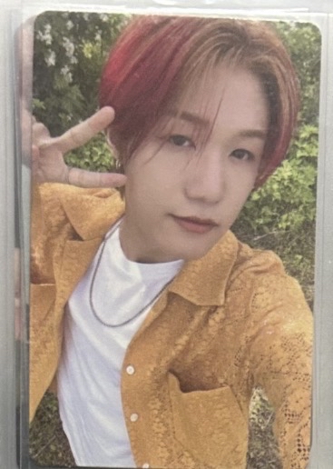 寫真書固配2 鐘燮