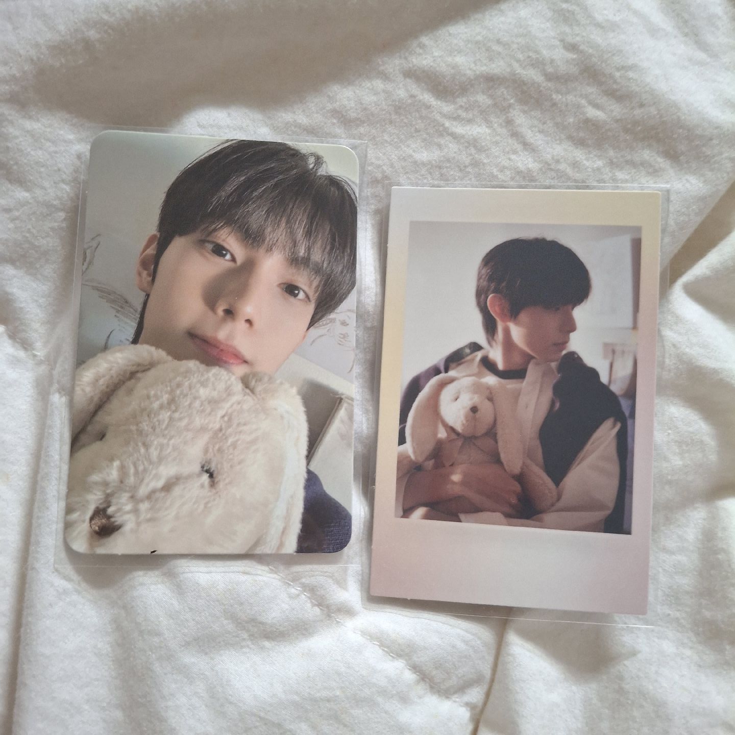 立于 專輯卡兩張