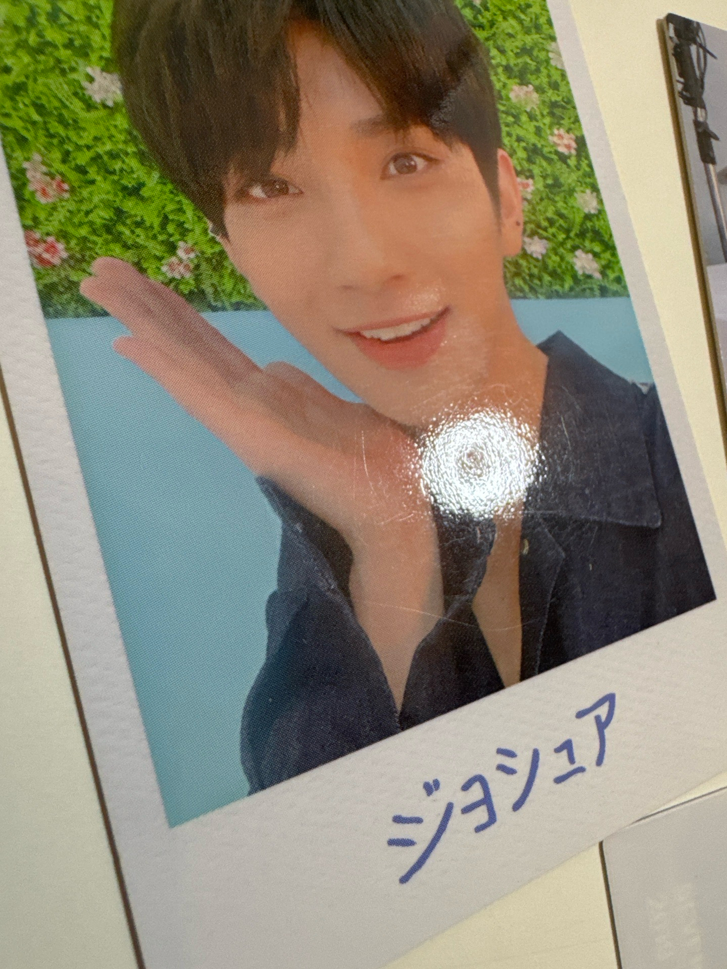 2019 HARU｜秀｜隨機卡（5張不拆售）