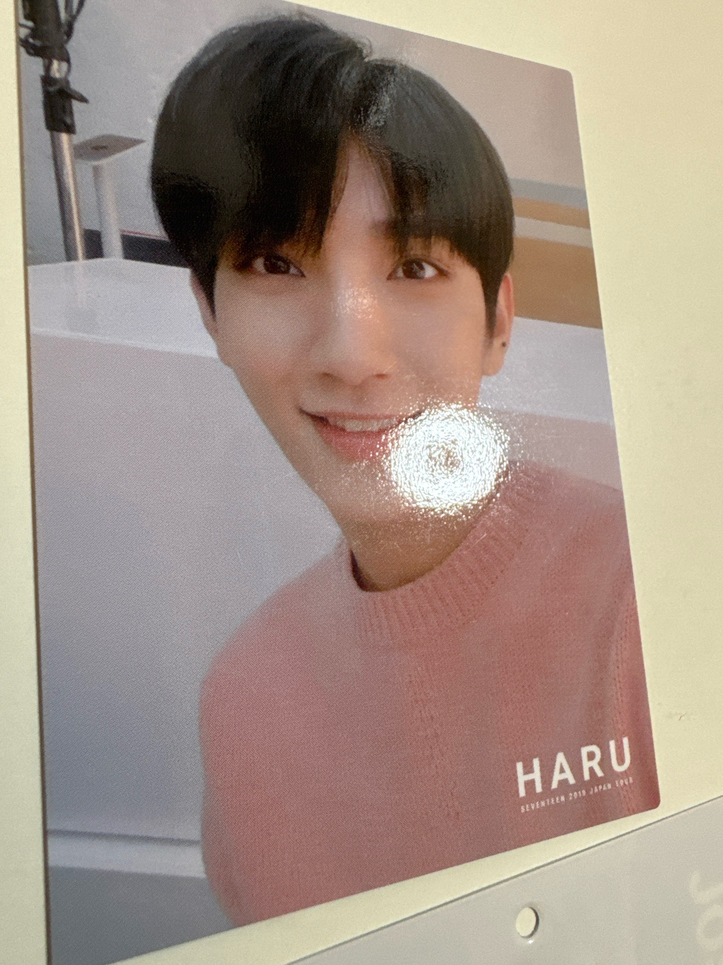 2019 HARU｜秀｜隨機卡（5張不拆售）