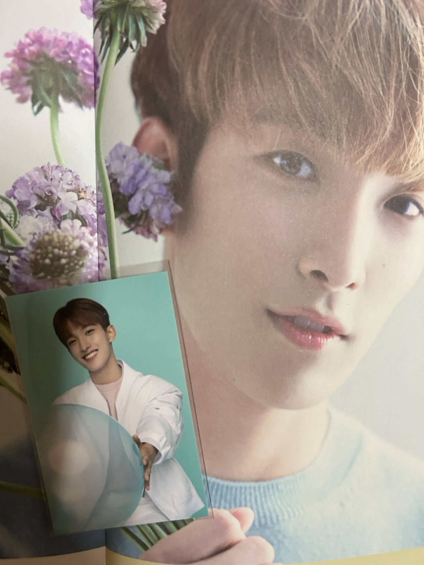 always yours 塔店 特典卡 碩