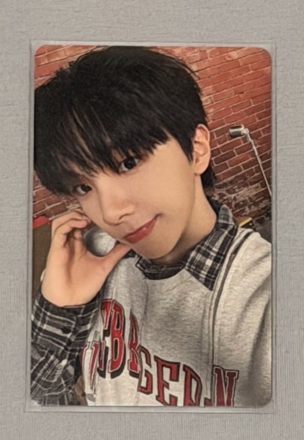 日巡卡包 自拍卡