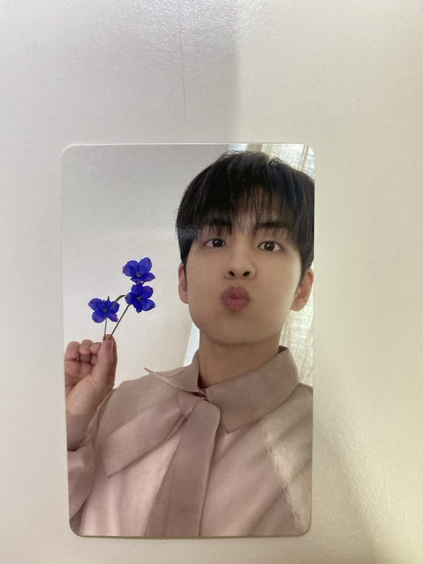 迷八jyp🐰特典🩵