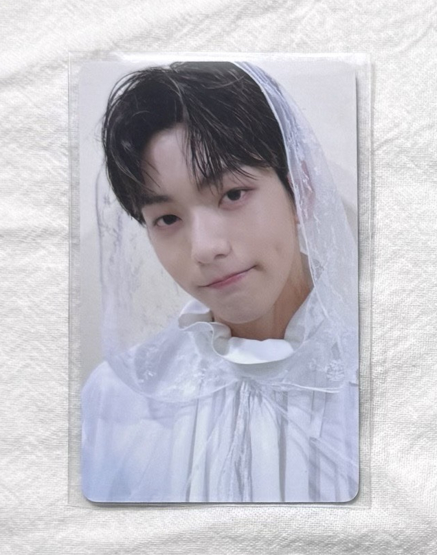 TXT 回憶錄 新娘彬