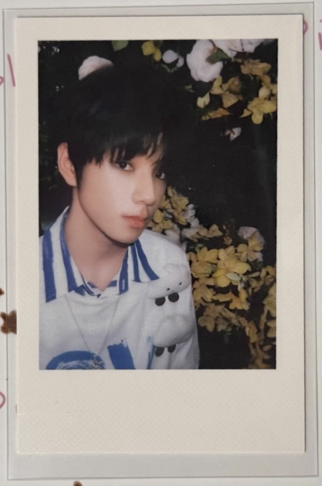 櫓肆意卡包R卡拍立得