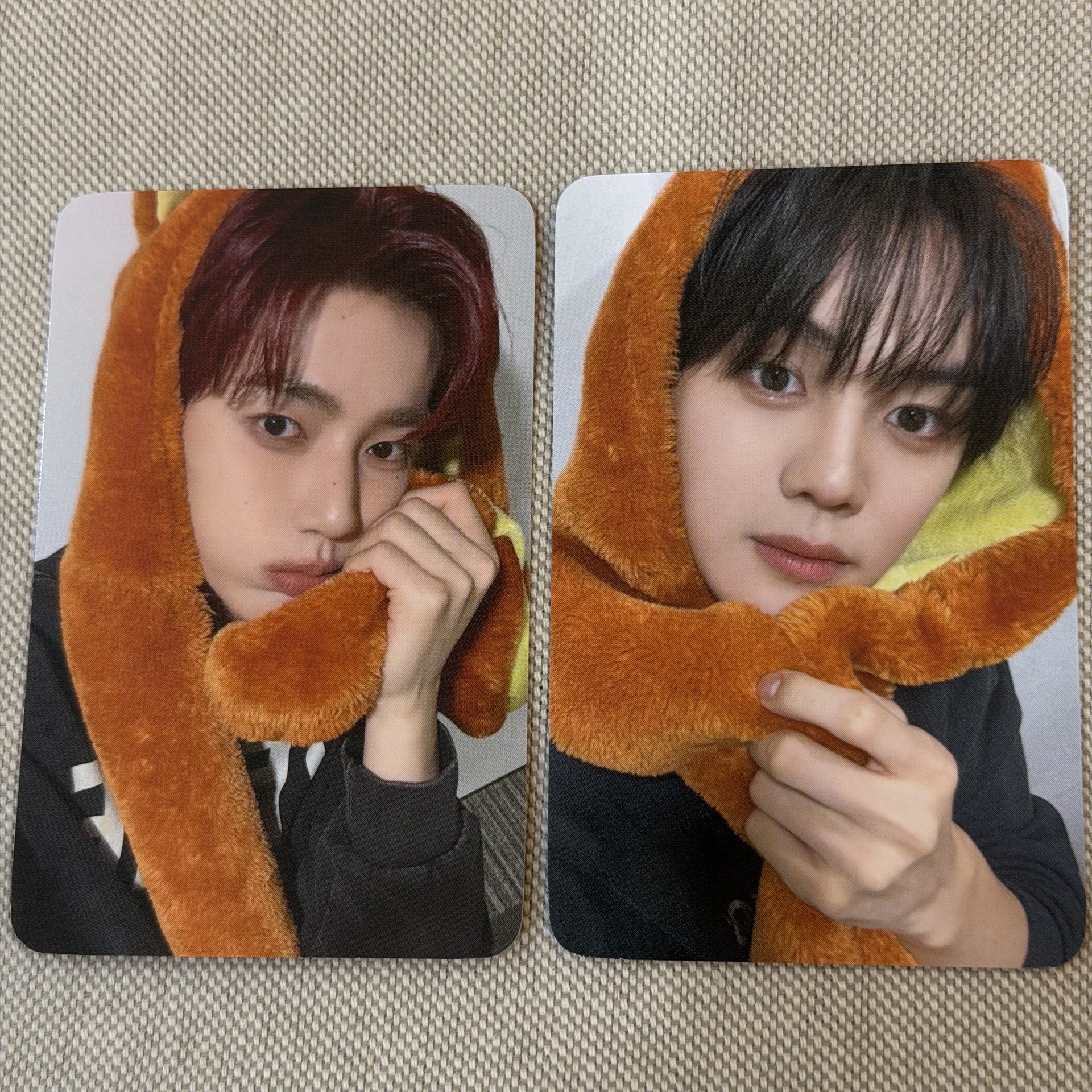 WM 動物方城市 特典卡