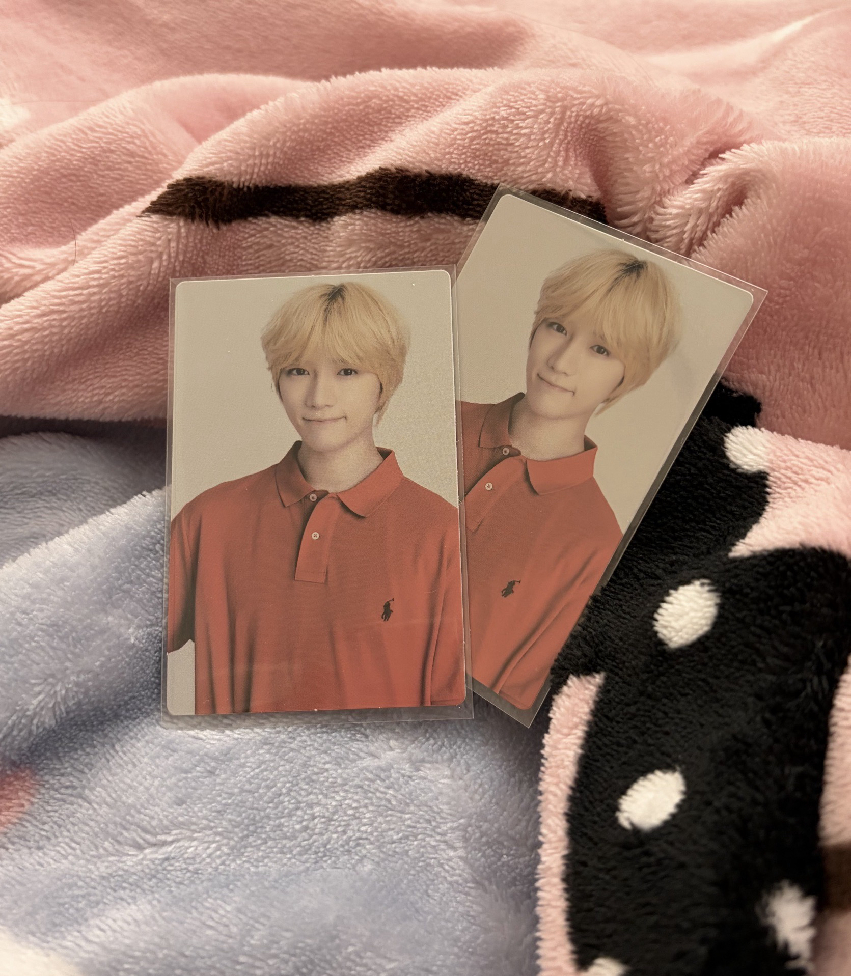 崔杋圭六期會員 會員禮卡 