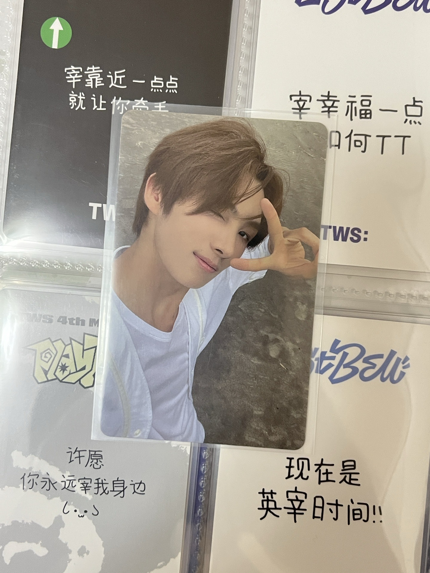 迷一 wvs直播卡 英宰