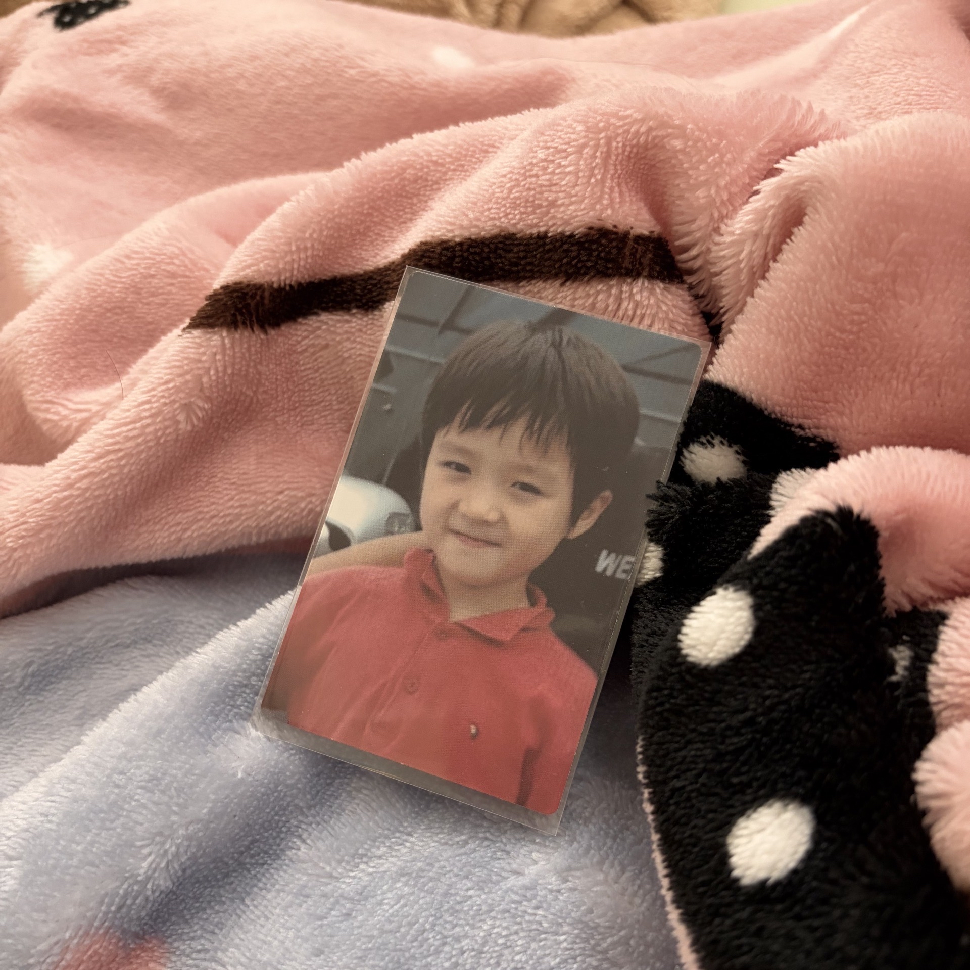 崔杋圭六期會員 會員禮卡 寶寶卡