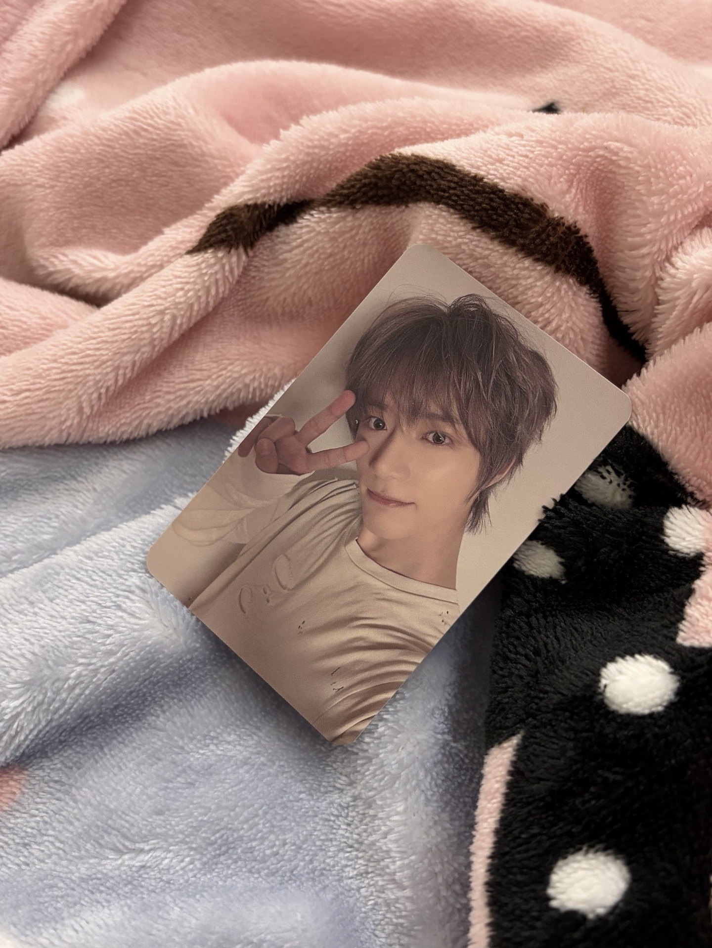 迷七 數星星 單封 特典卡 中文卡背崔杋圭