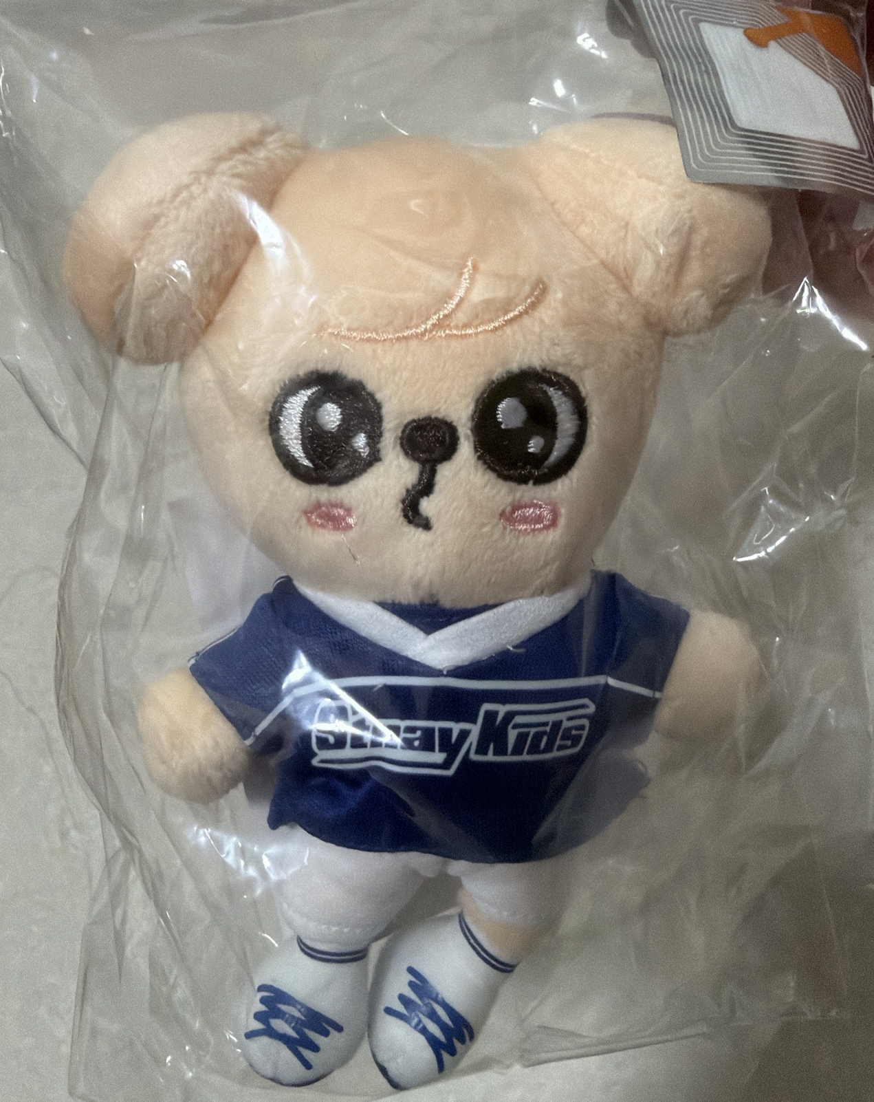 Stray kids JYP 運動吊娃 金昇玟 Puppy M