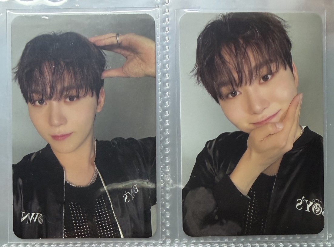 小狗寛 阿貢包寛