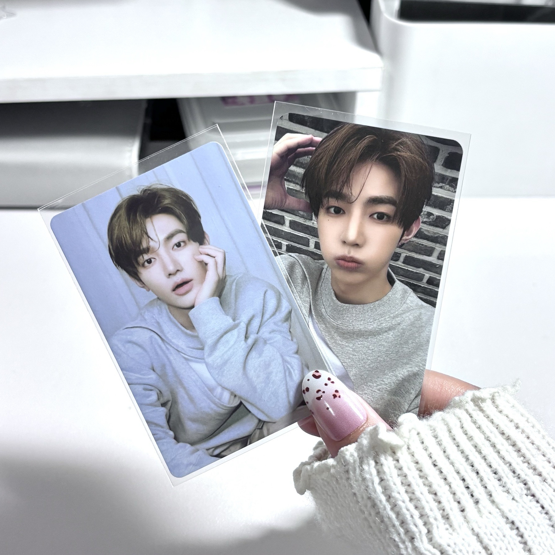 ZB1 章昊 狗耳+周邊卡