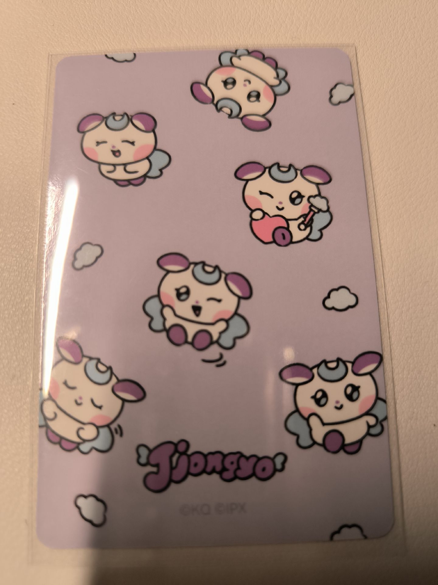 哪個才是小可愛