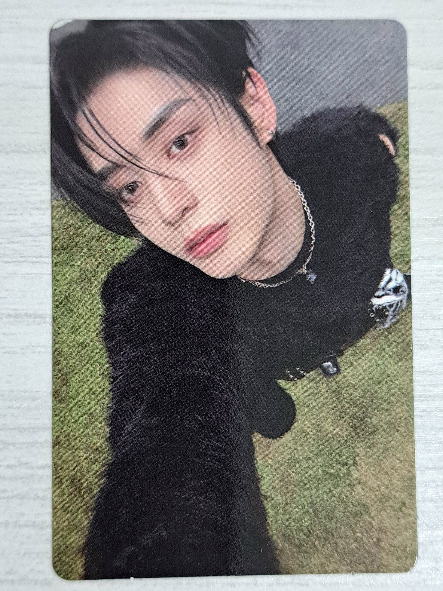 迷五 專輯卡 SEEK ver. 雄